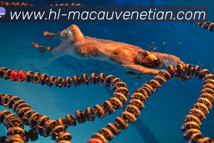 威尼斯人线上娱乐服务体系